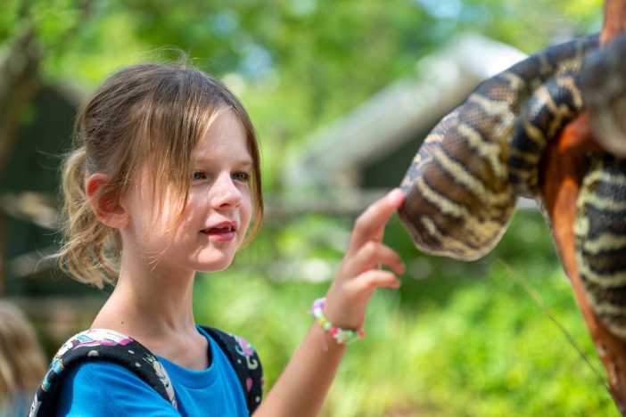 Cleveland Metroparks Zoo Summer Camps