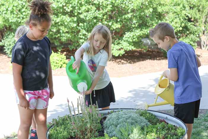 Collegiate Summer Explorations