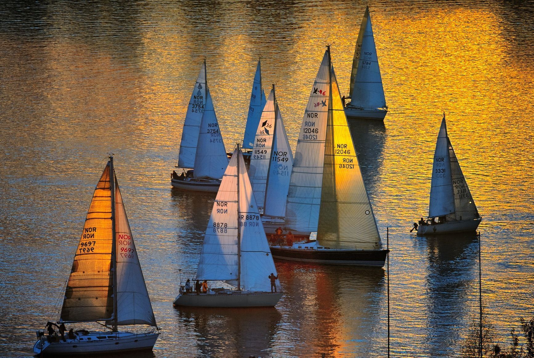 Community Boating Center photo 1