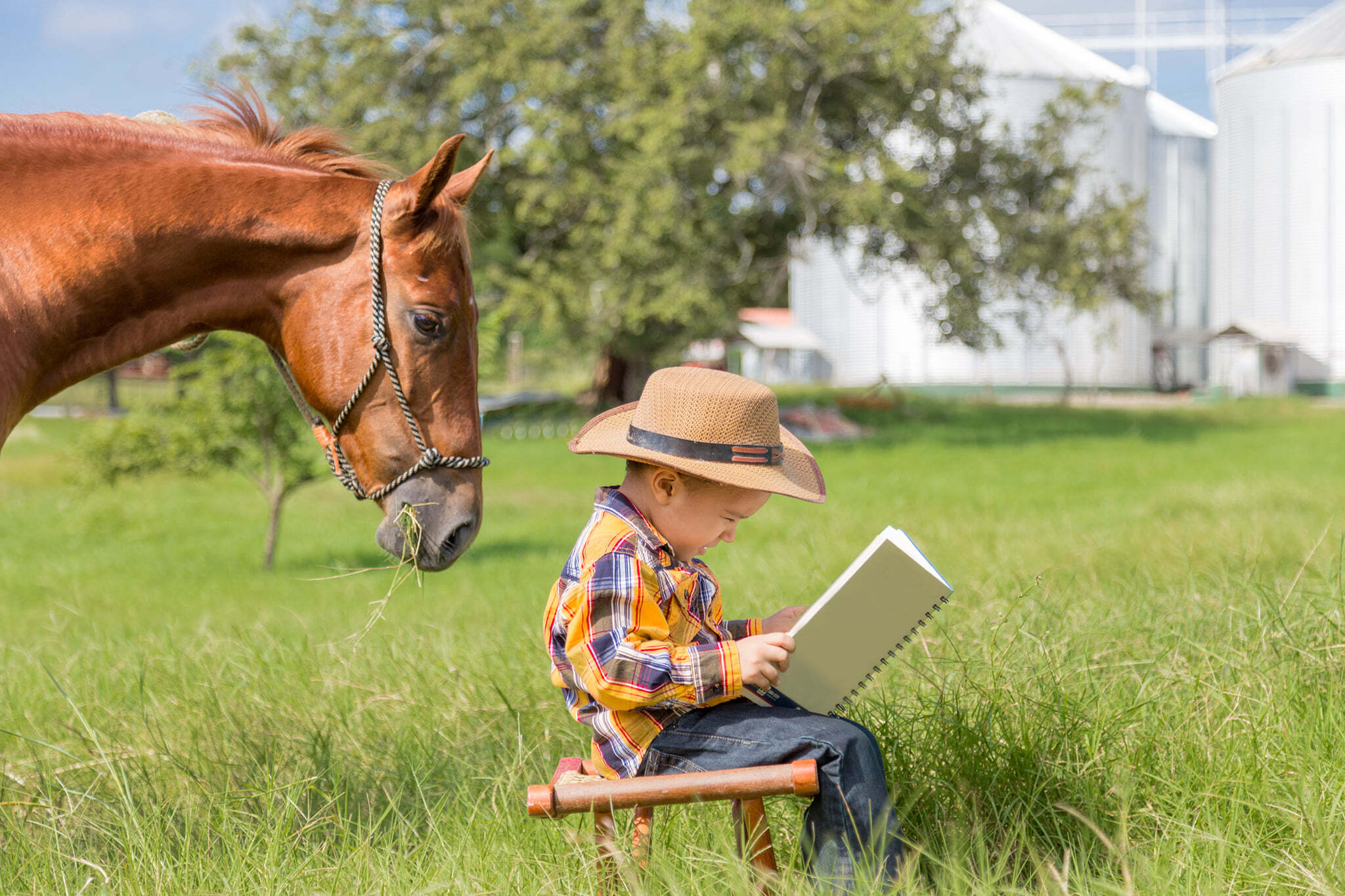 Cross Creek Stables Summer Camp