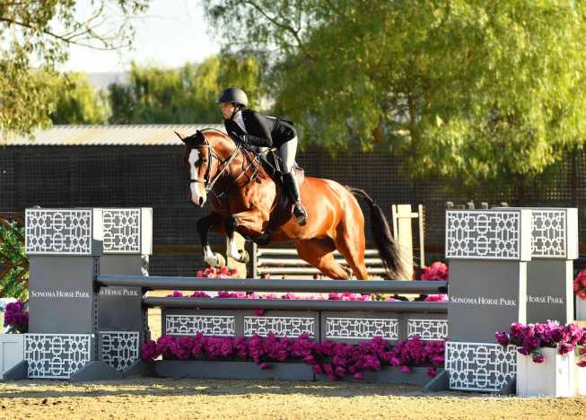 Crystal Clear Farm Horse Camp