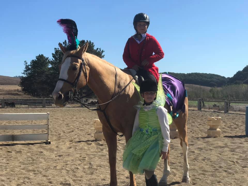 Crystal Clear Farm Horse Camp photo 1