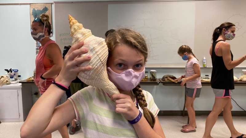 Dauphin Island Sea Lab