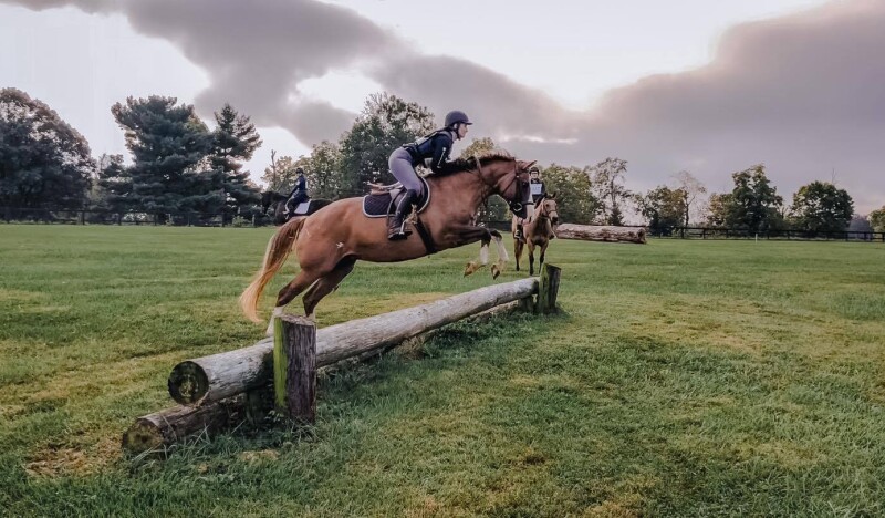 DeLima Stables