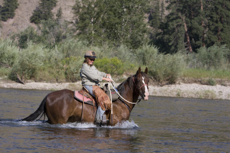 Dunrovin Ranch Horse Camp photo 1