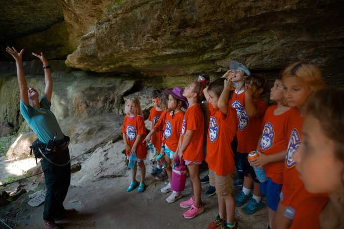 Elite University Summer Camps