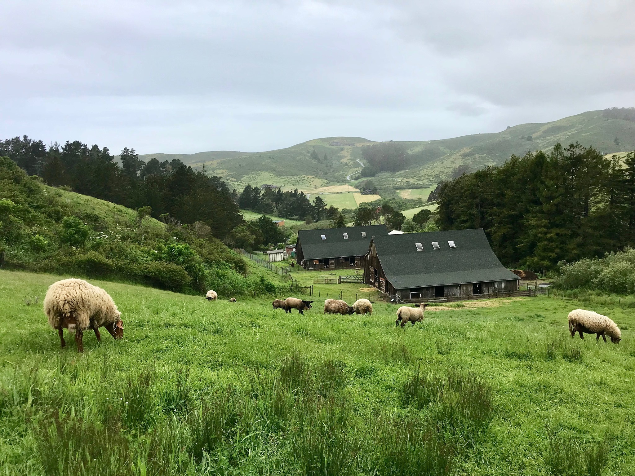Elkus Youth Ranch photo 1