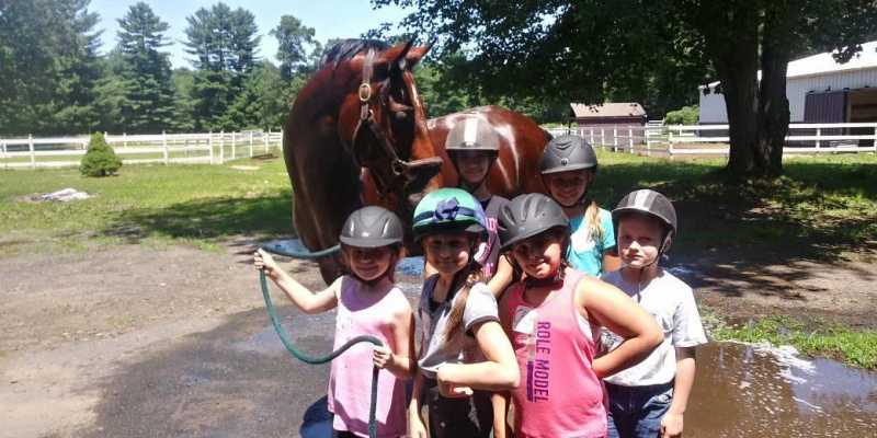 Equine Blvd Horse Camp