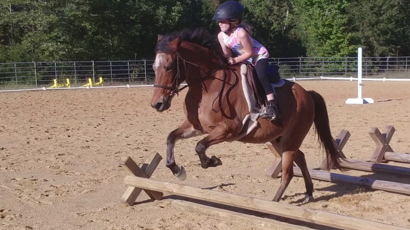 Fairhaven Farm Summer Camp