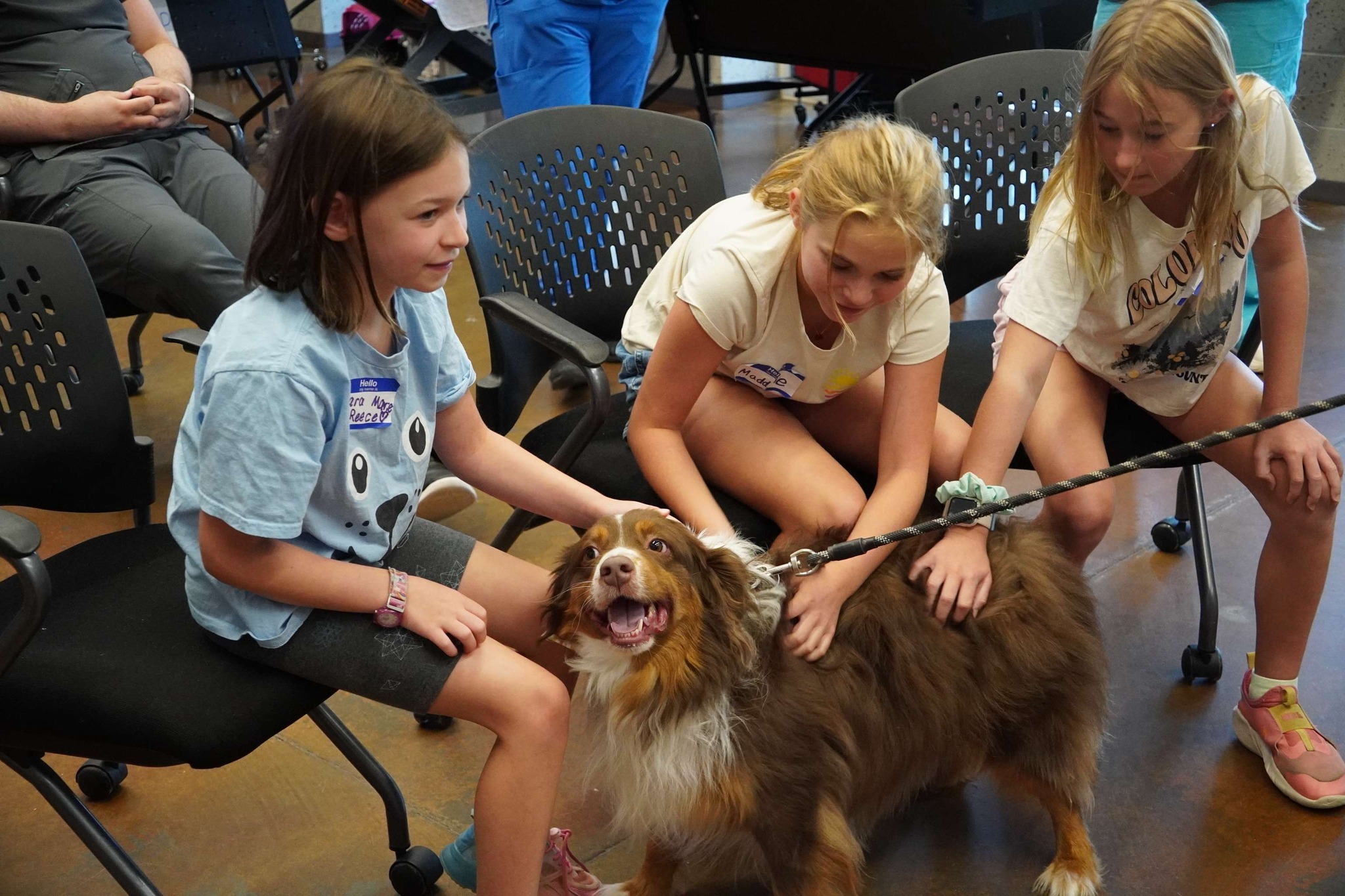 Forsyth Humane Society photo 1