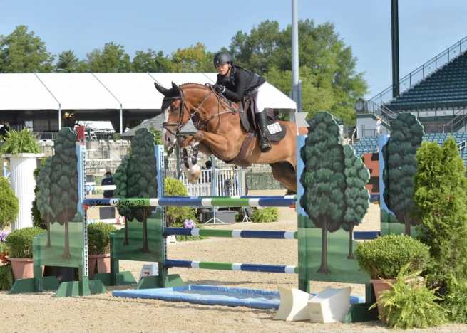 Gold Stirrup Riding Academy In Miami