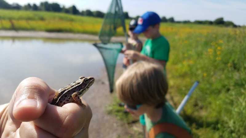Great Plains Nature Center Summer Programs