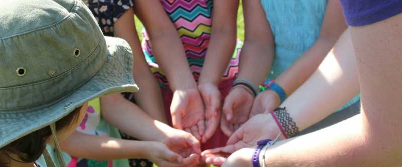 Green Mountain Audubon Center Day Camp