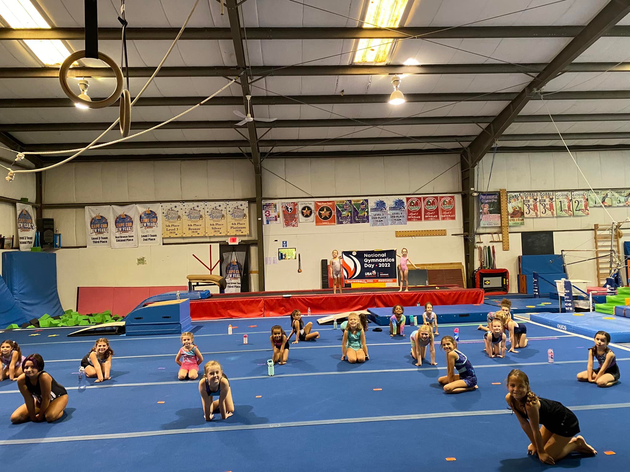Gym Hutt Gymnastics Summer Camp photo 1