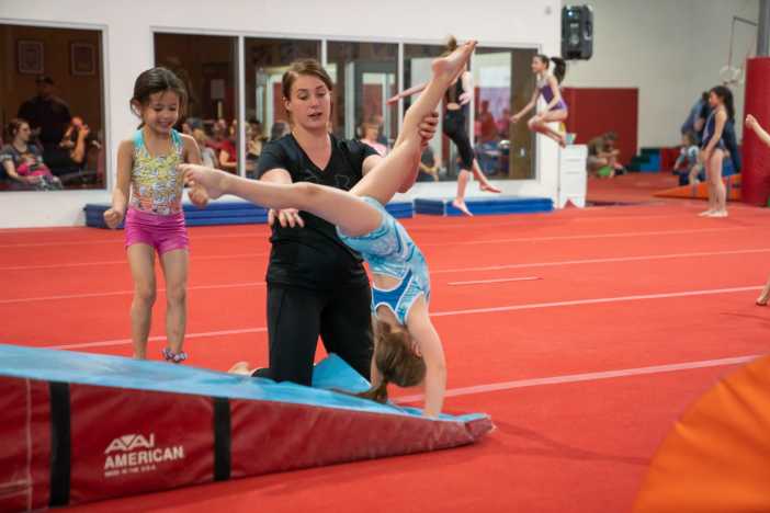Gymcats Summer Cats