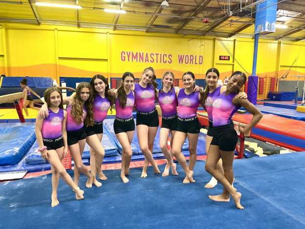 Gymnastics World Camp