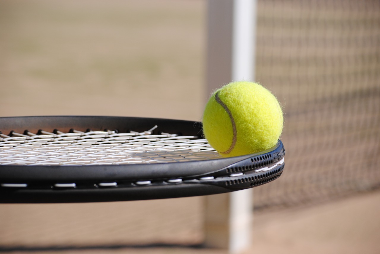 Hampshire College Arthur Carrington Tennis Academy