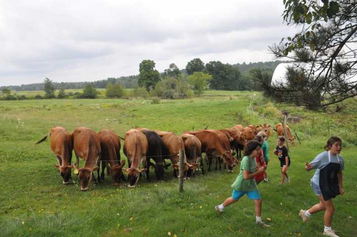 Hart-to-Hart Farm Day Camp