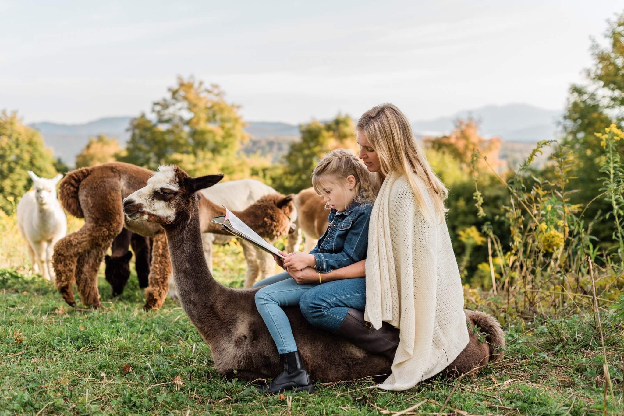 High Country Animals Summer Camp