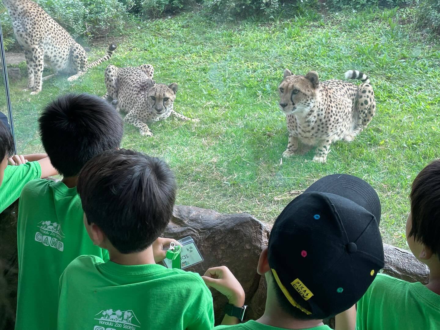 Summer Camps for 11 Year Olds in - 1