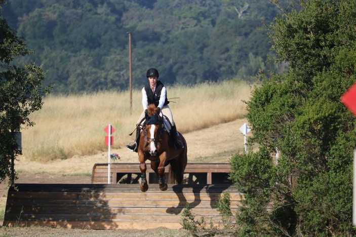 Horsemans Hangout Horsemanship Summer Day Camp