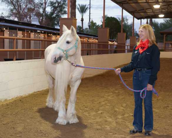 Horses Help: Not Just Horseplay