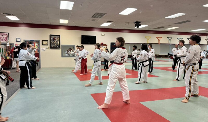 Hwangs Martial Arts Summer Camp