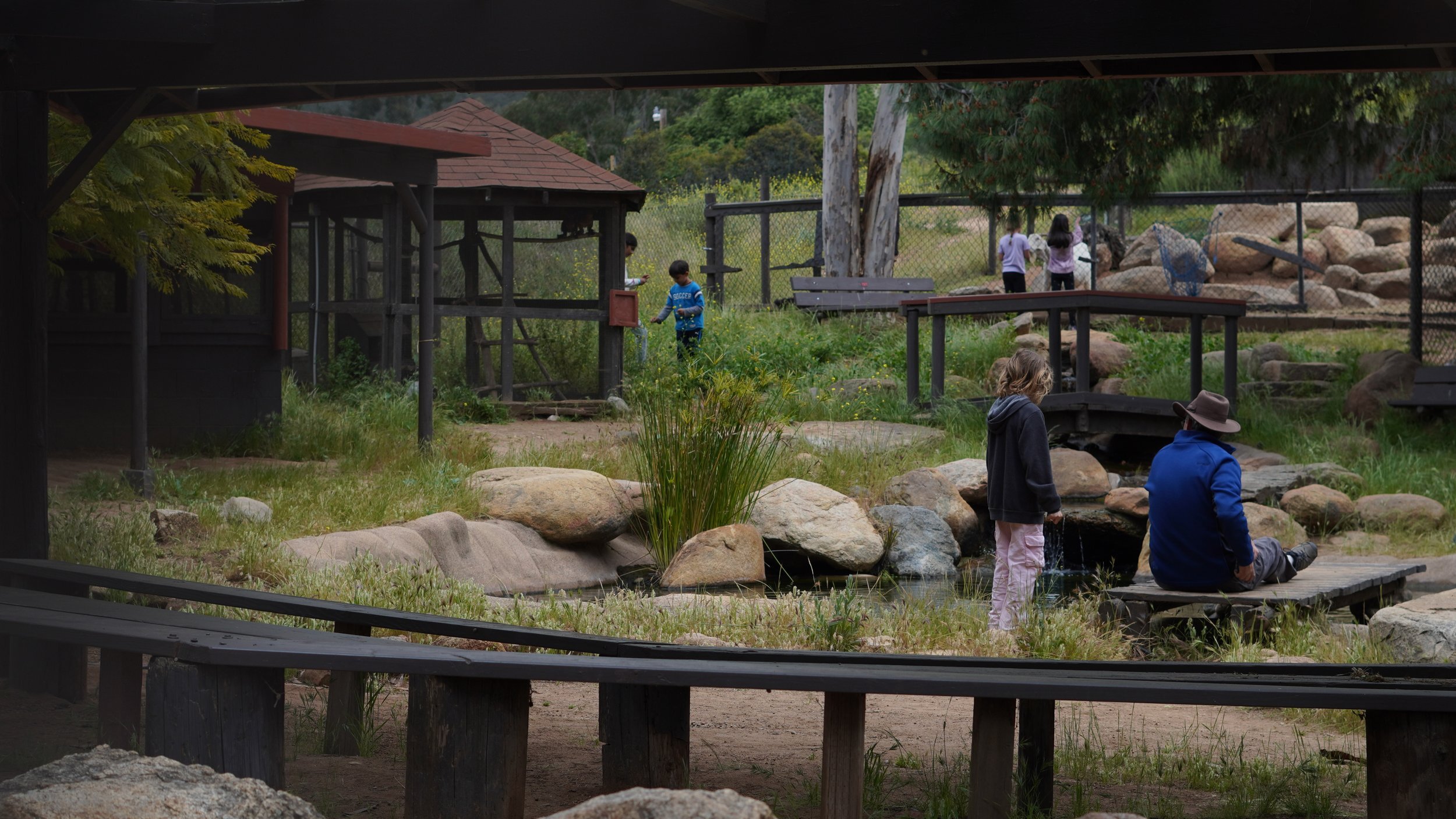 Camp Fire фото 1