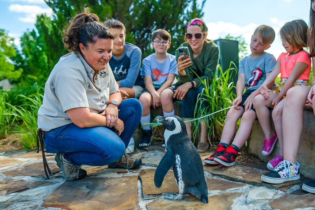 Jr. Zookeeper Camp