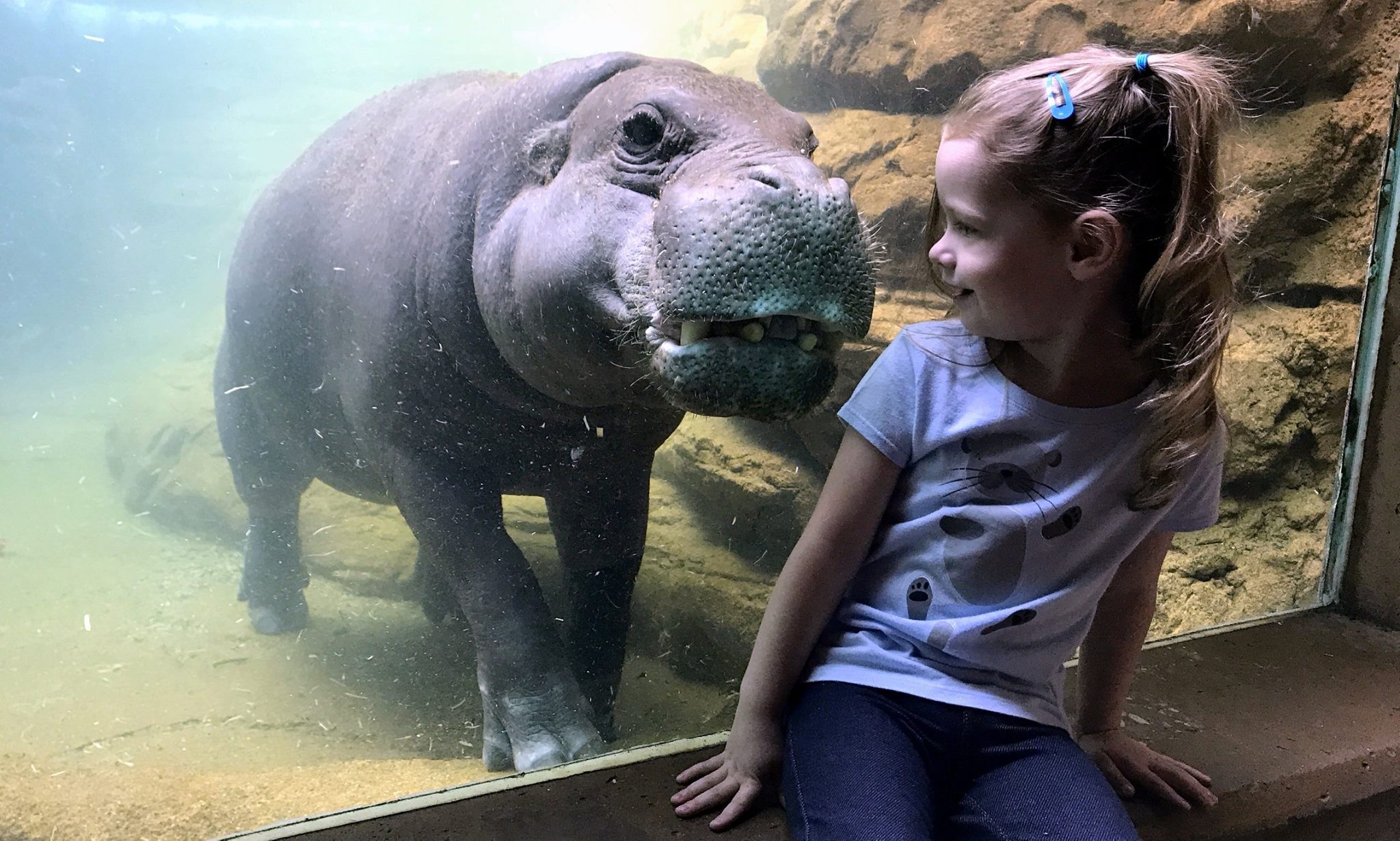 Louisville Zoo Camps