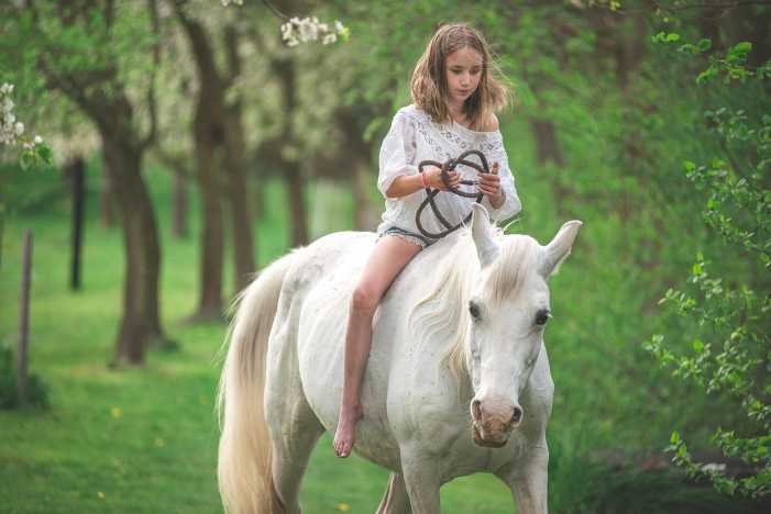 Mark West Stables Summer Horse Camps
