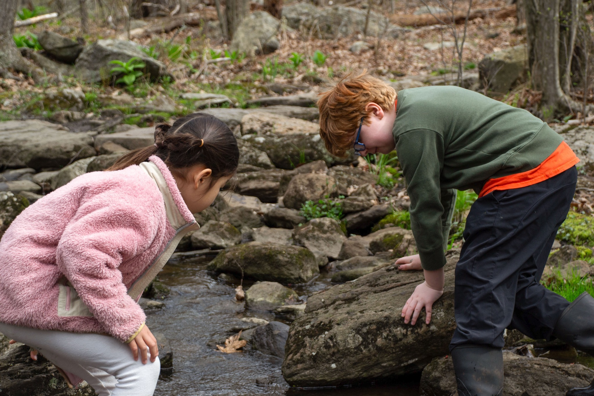 Mass Audubons Broad Meadow Brook Nature Camp photo 1