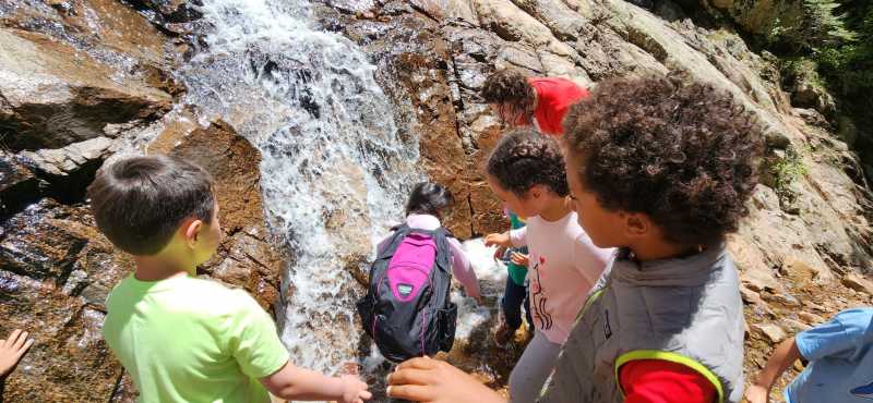 Mountain Kids Summer Camp