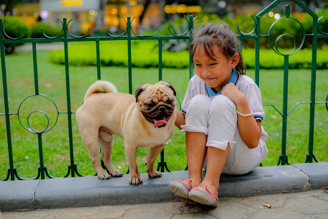 MSPCA Children's Summer Camp