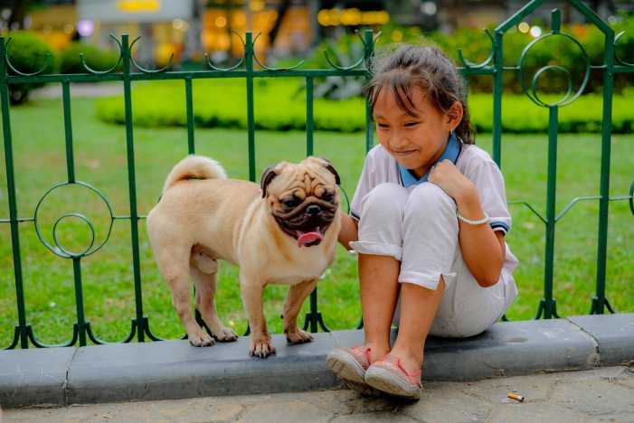 MSPCA Childrens Summer Camp