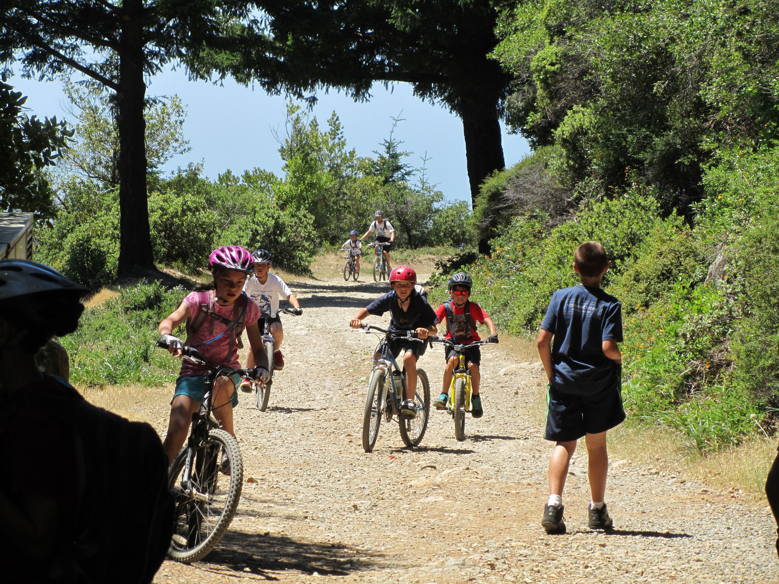 Mt Tam Bikes Camp photo 1