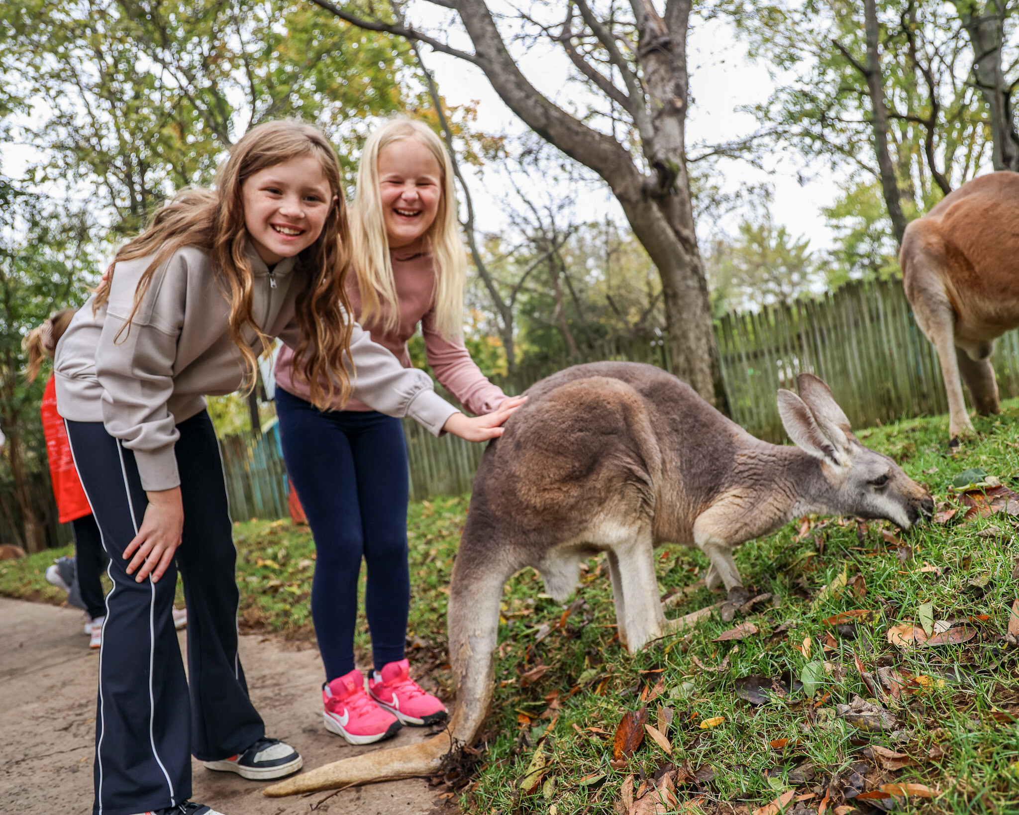 Nashville Zoo Camp