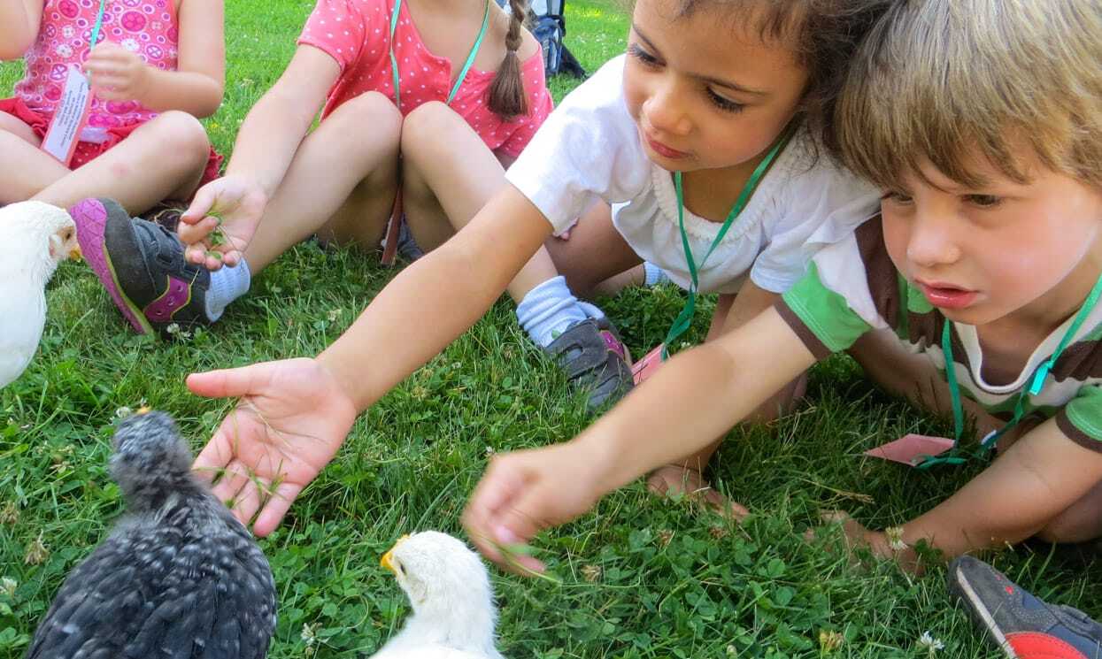 Nature Adventures Summer Day Camp photo 1