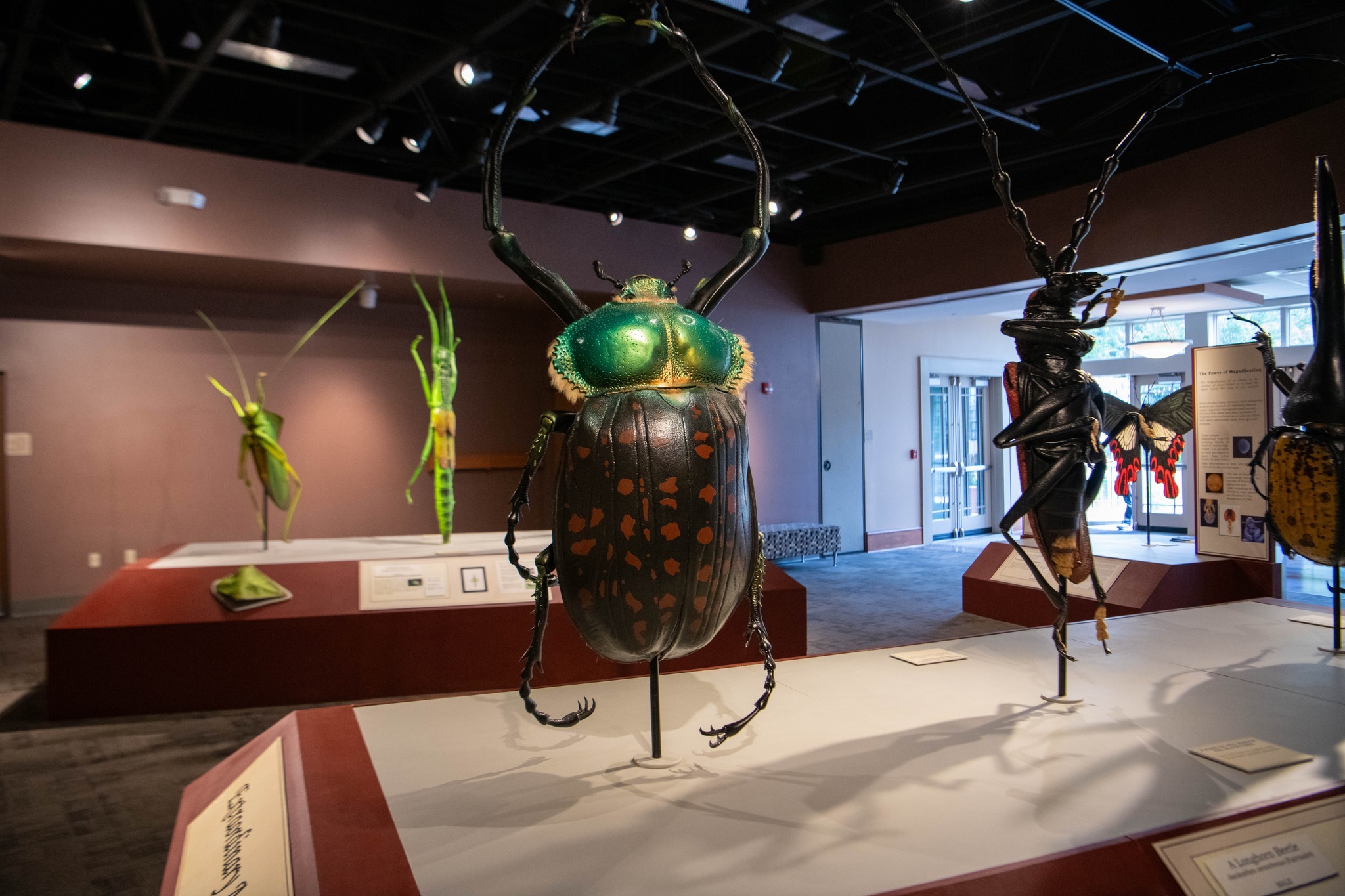 N.C. Arboretum photo 1