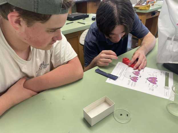 NC State University: Ag-DISCOVERY Camp