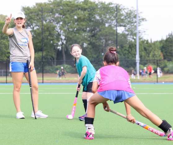 New York Baseball Academy At Hofstra University