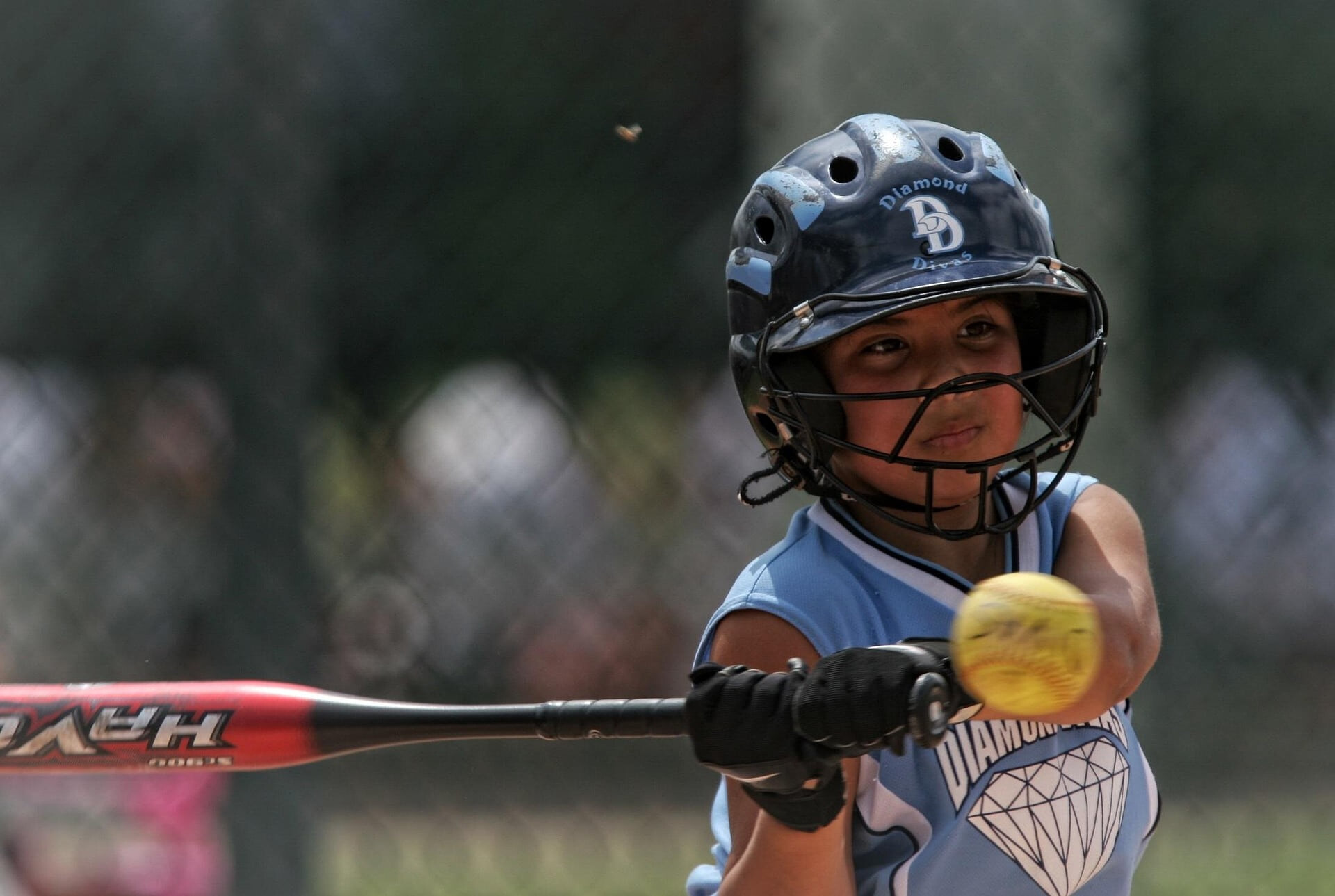 Nike Softball Camp Lewis University
