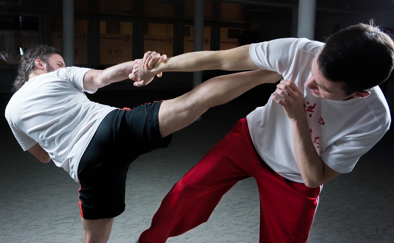 Globetrotters BJJ Camp фото 1