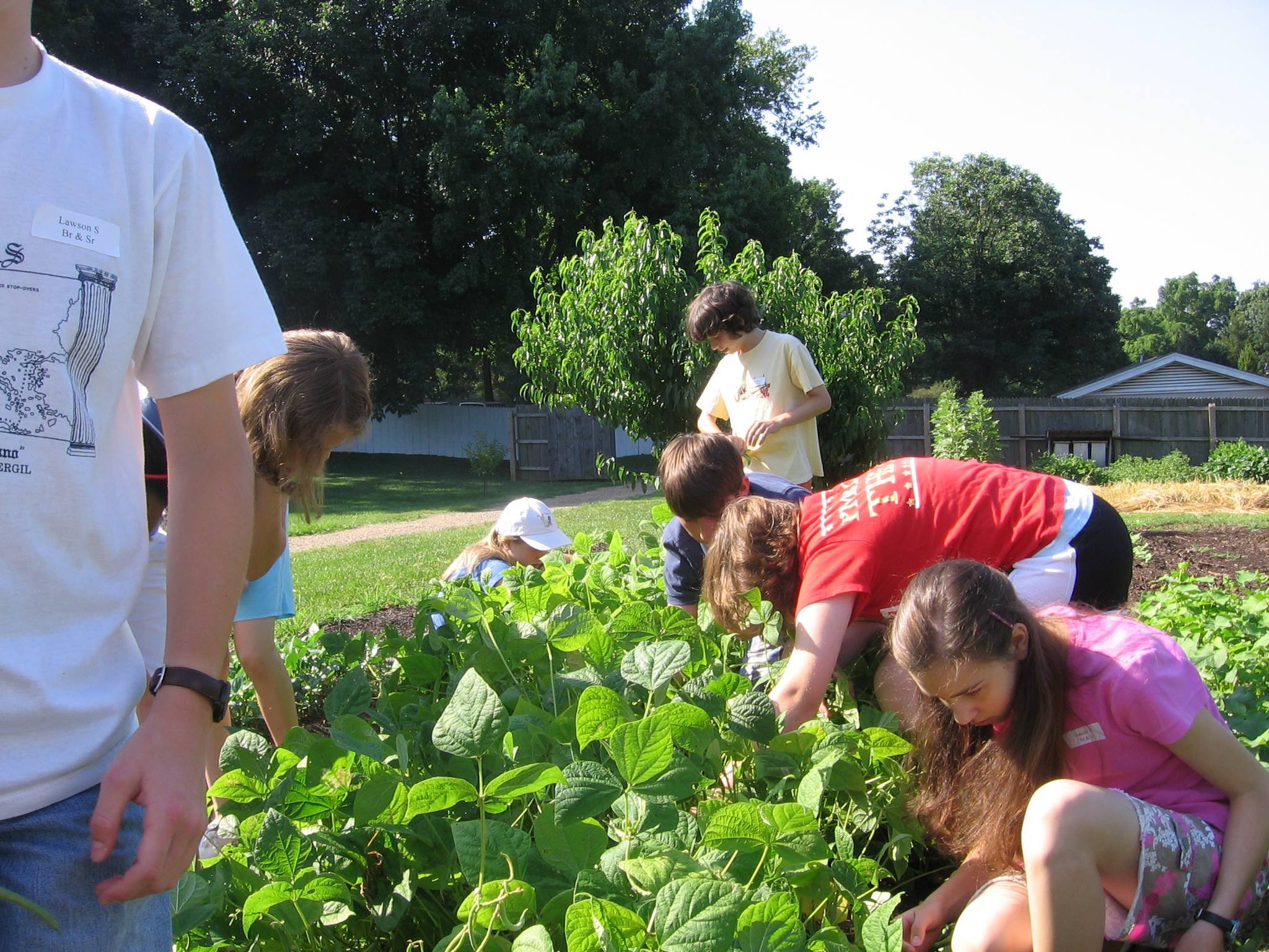 Camp Chimmey Corners- YMCA фото 1