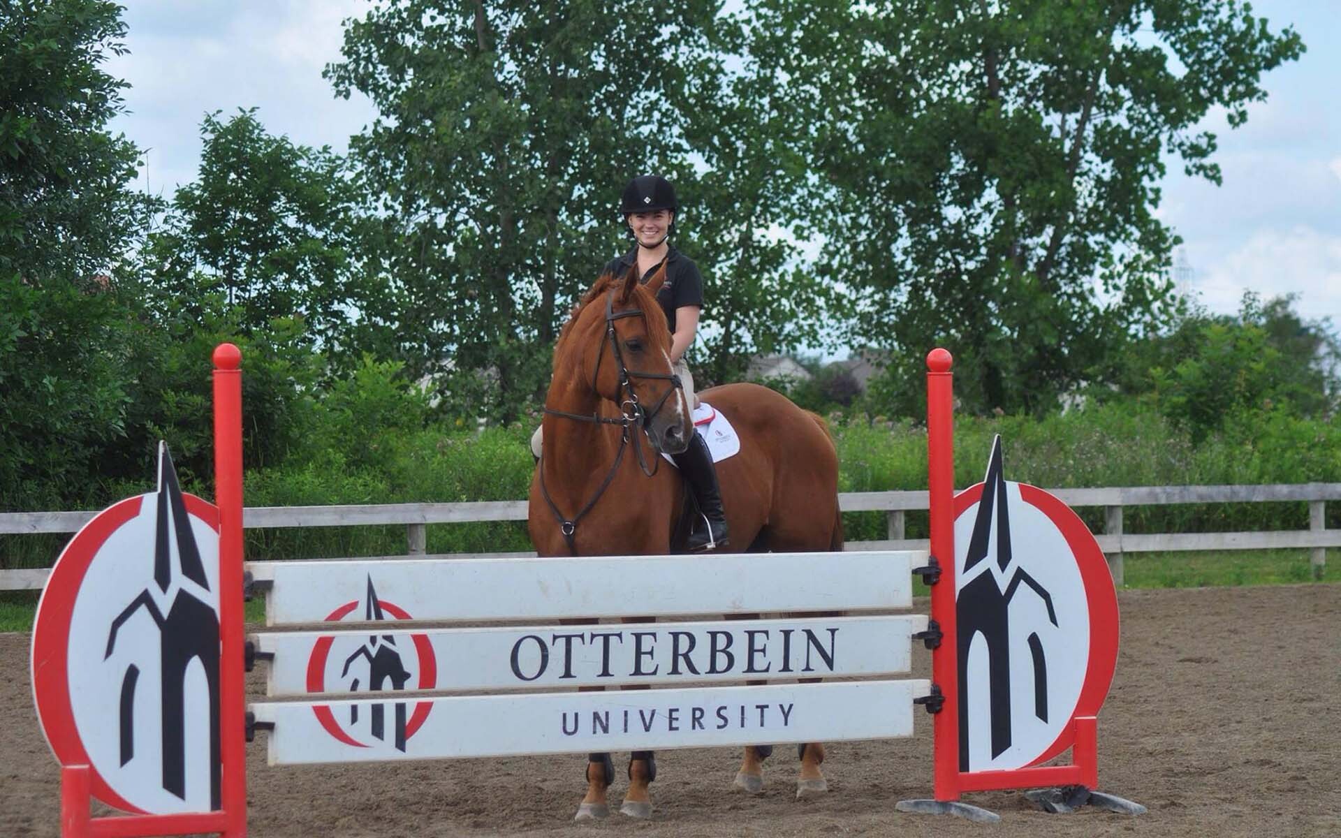 New England Music Camp фото 1