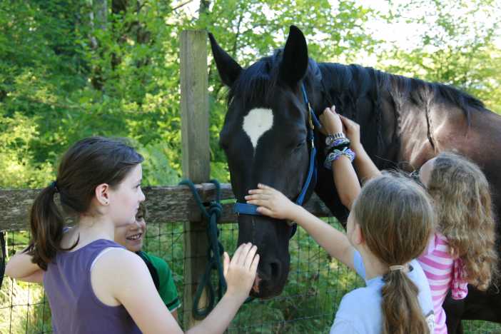 Overlake Farm Horse Camp