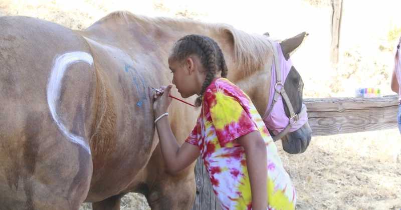 Palomar Horse Camp