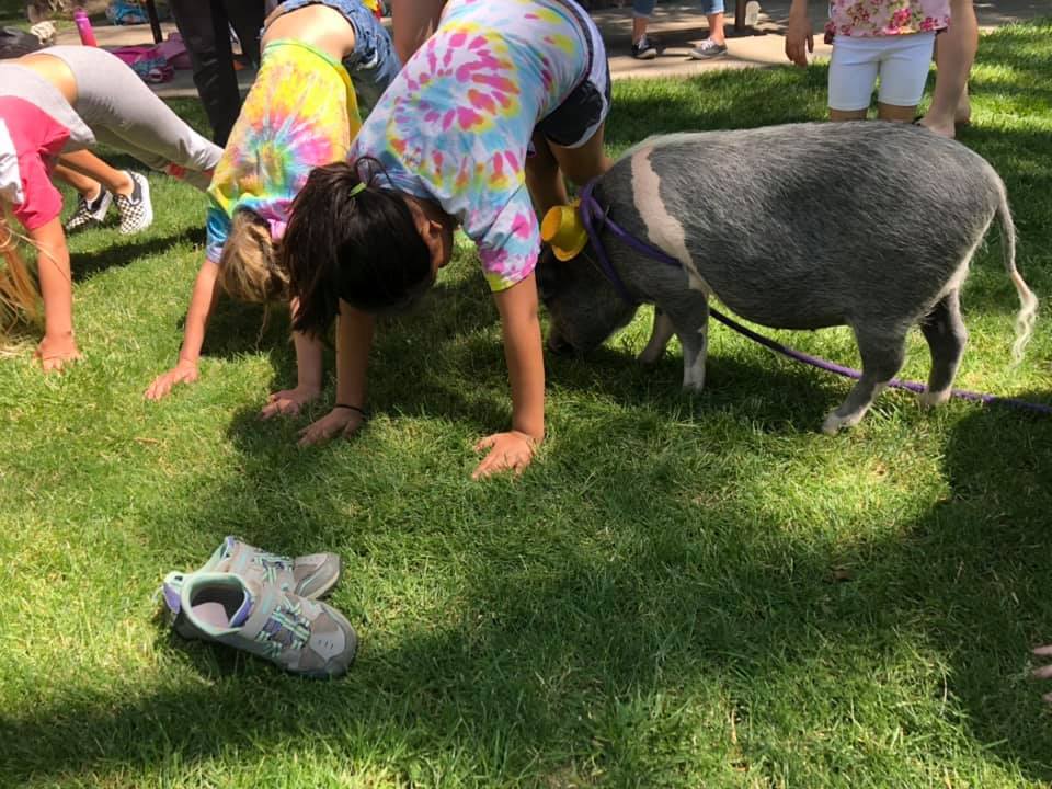 Children’s Adventure Company Santa Fe фото 1