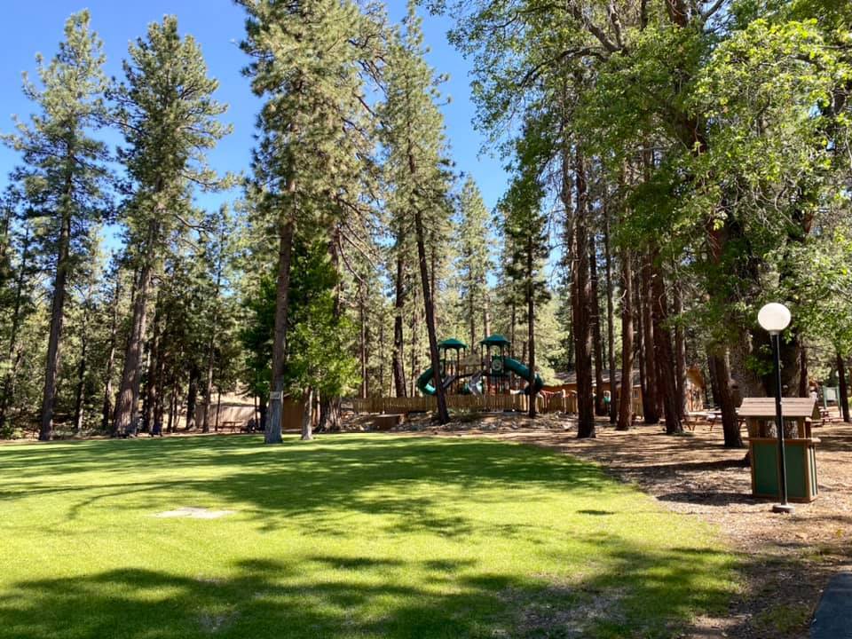 Pine Summit Bible Camp photo 1