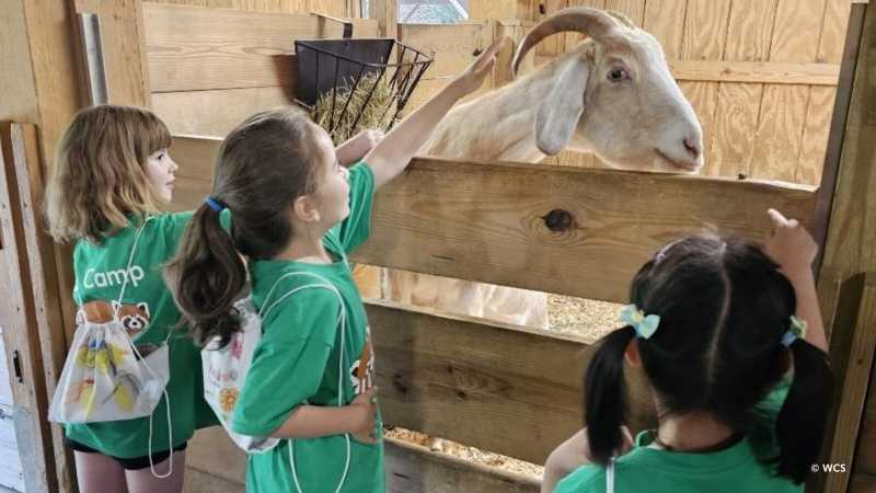 Prospect Park Zoo Camp
